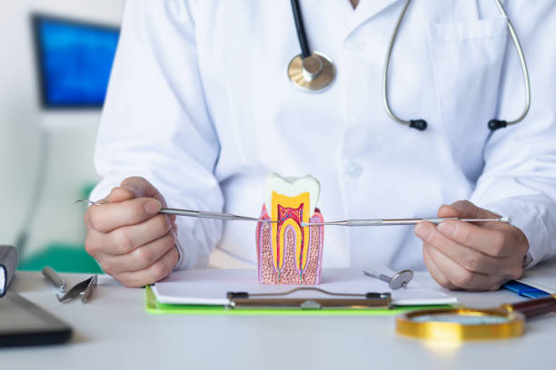 Best Emergency Dental Care for Abscessed Tooth in Kilauea, HI